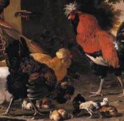 Лучший спец по петухам в живописи -- голландец Мельхиор де Хондекутер (XVII век)